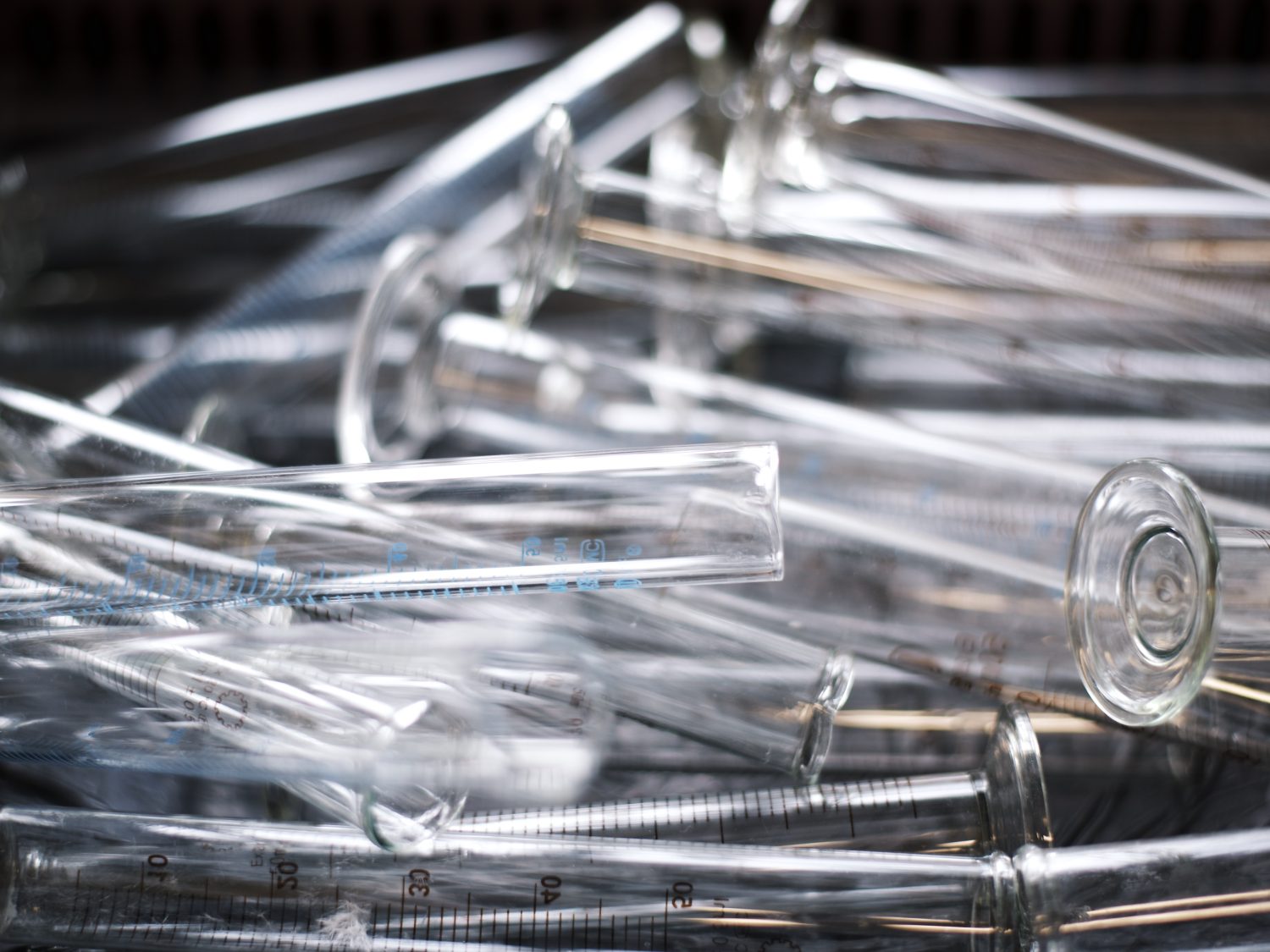 Two million specimens and one search box